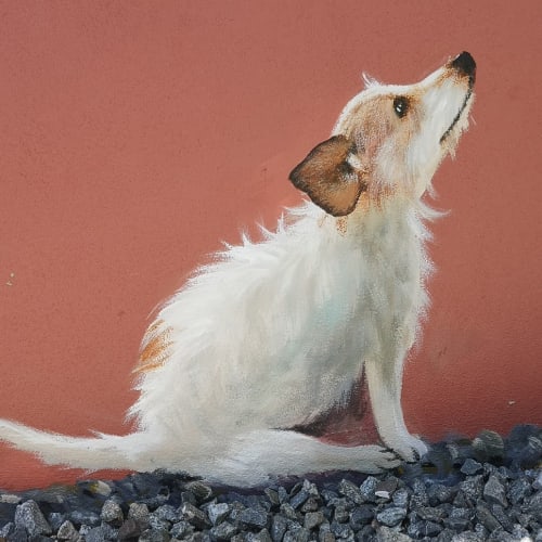 Rosie The Jack Russell By Nina Camplin Seen At Rosemoor Country