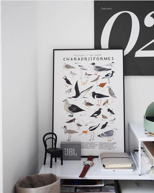 Charadriiformes print | Wall Hangings by Kelsey Oseid