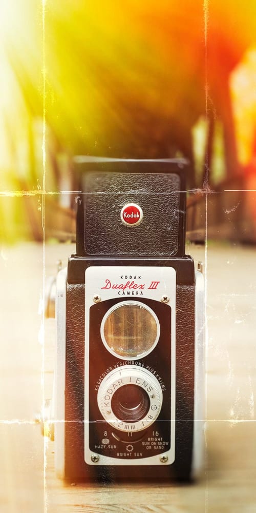 BRIGHT SUN | Photography by Pam Moxley Mixed Media