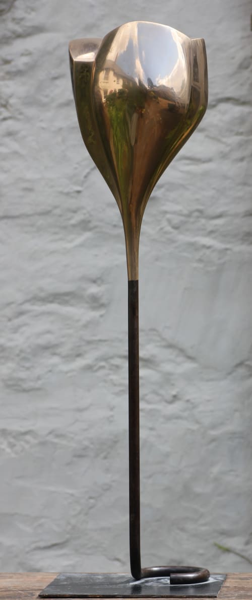 Flower II (bronze) | Sculptures by Bob Dawson