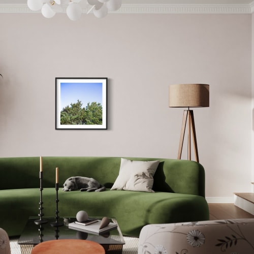 Juniper | Photography by Neon Dunes by Lily Keller