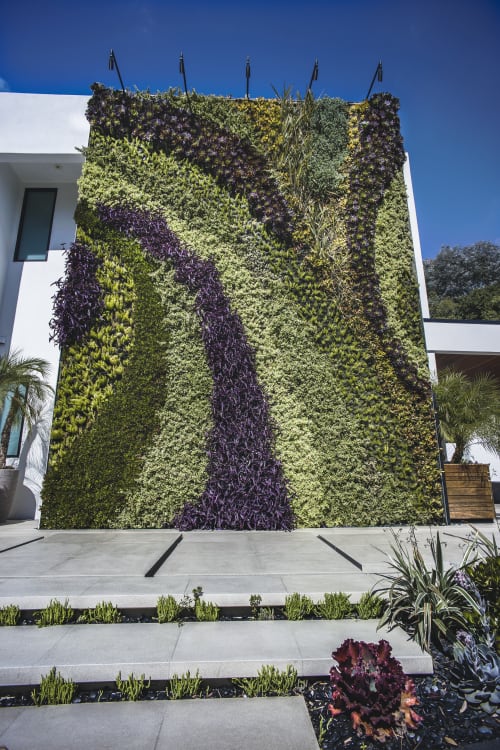 Living Wall by Scott Hutcheon | Murals by Seasons Landscaping
