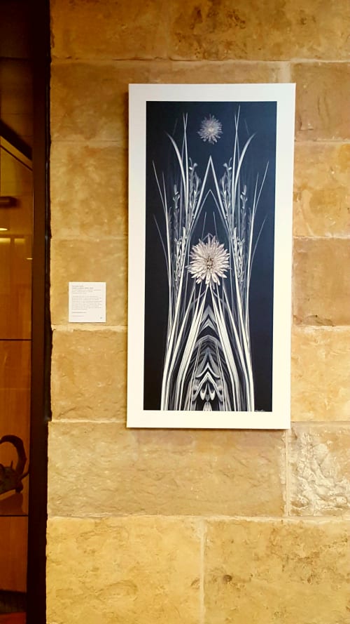 Flower of Notre Dame | Art & Wall Decor by Francine Funke | The People's Gallery @ City Hall in Austin