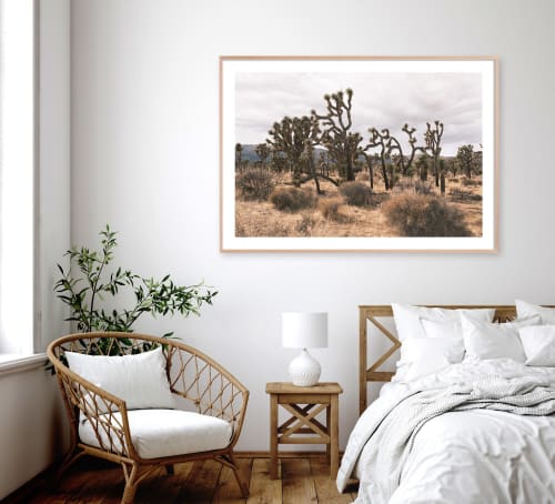 Joshua Tree Photograph in muted tones | Photography by Capricorn Press