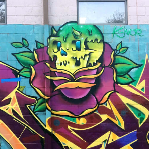 "Flower Skull" | Murals by K-NOR | NY Moore Hostel in Brooklyn