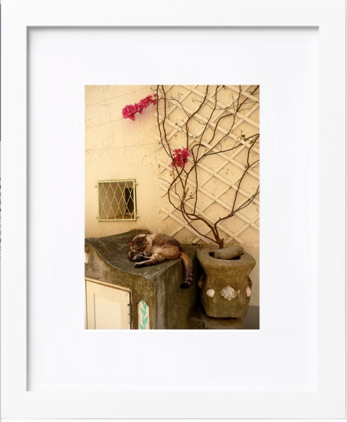 Pisolino del Gatto | Photography by KNOF design