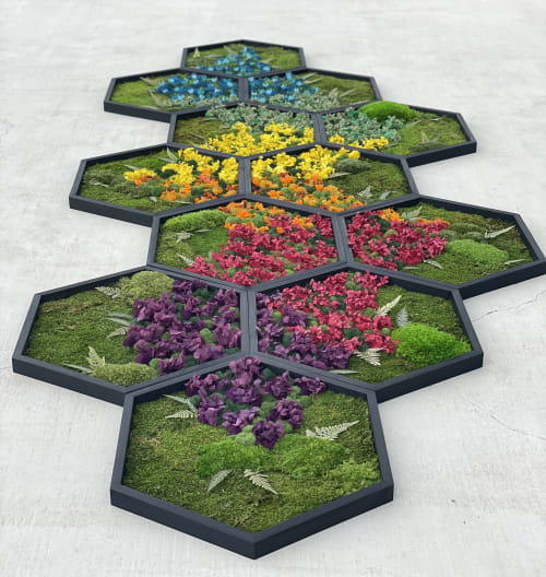 Rainbow Hexagon Moss Art XL 24" Frames | Wall Hangings by Mosstique