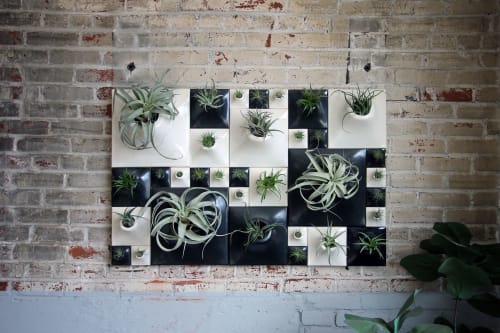 Modern Ceramic Wall Planter Living Wall - Node Wall Planter | Plants & Landscape by Pandemic Design Studio