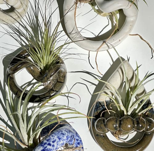 air plant holders | Ornament in Decorative Objects by Coupe Ceramics