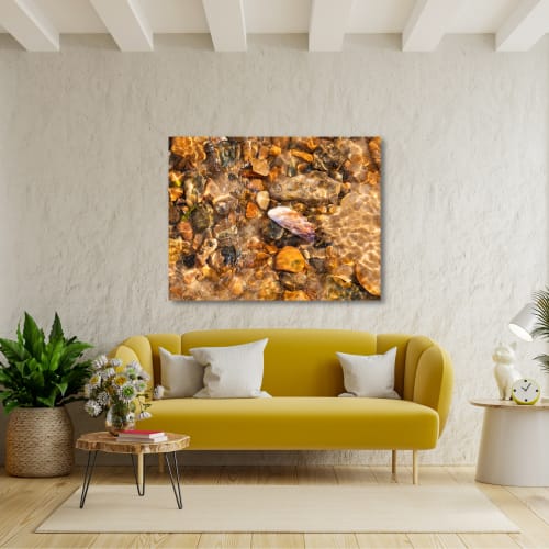 Photograph • Shells, Nautical, England Coast, Norfolk | Photography by Honeycomb