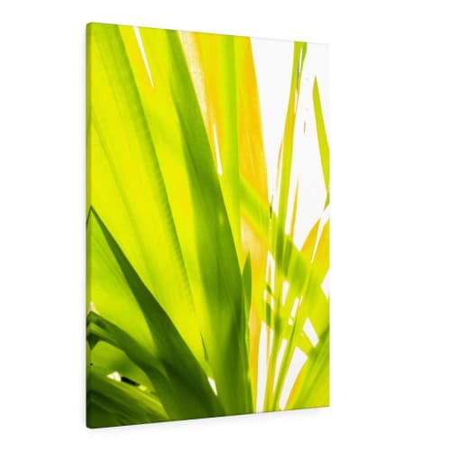 Sunkissed_3613  --  the life-giving energy of nature | Prints in Paintings by Petra Trimmel