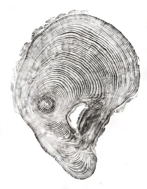 California Pine | Prints by Erik Linton