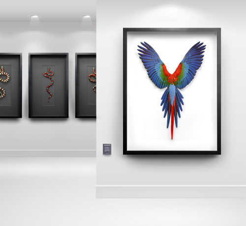 Green Wing Macaw | Art & Wall Decor by Christopher Marley | Houston Museum of Natural Science in Houston
