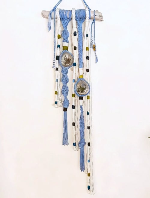 Sky - Macramé Wall Hanging with Live Air Plants | Wall Hangings by Gissell L