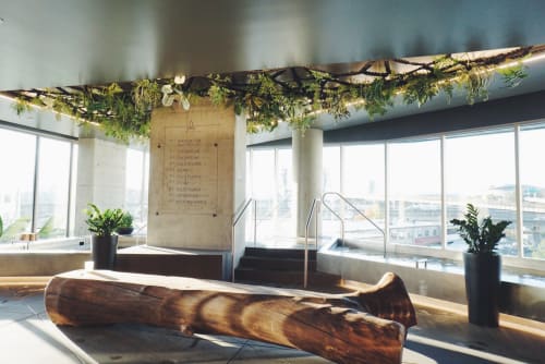 Macrame Ceiling Installation With Silk Plants By Modern