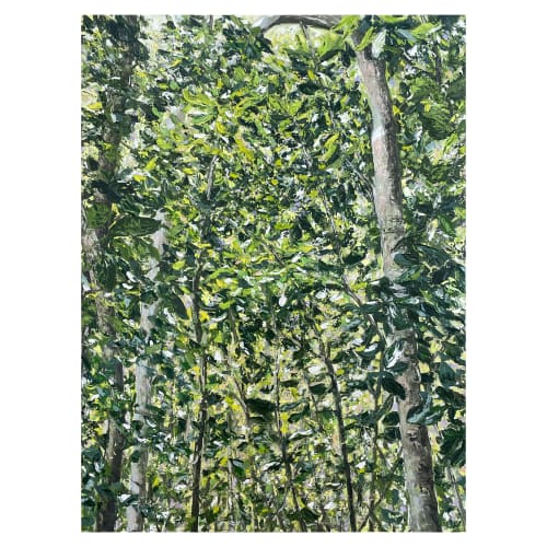 Tsitsikamma Forest - Oil on Canvas | Paintings by Sera Holland