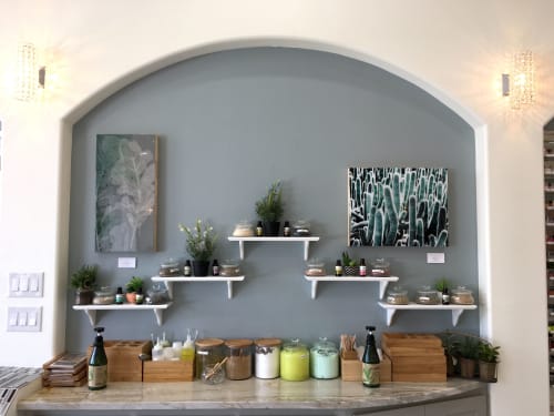 Leaf and Cacti in Salon | Photography by Lisa Zinna | Vertex Nails Salon in Austin