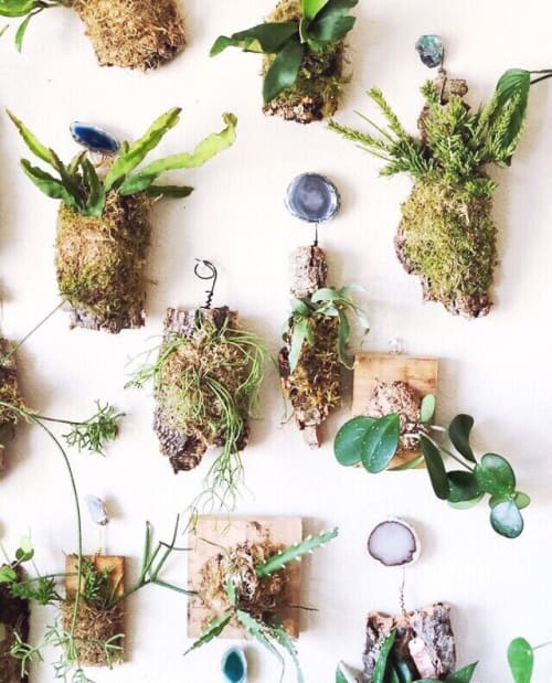 suspend.it for living wall | Wall Hangings by suspend.it
