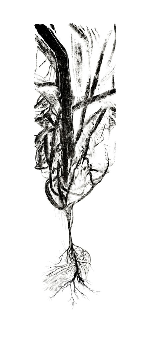 Grow from your Roots | Prints by Janet Botes