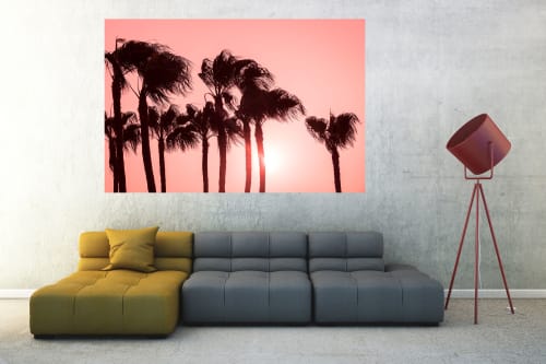 "PINK PALMS" | Photography by ANDREW LEVER