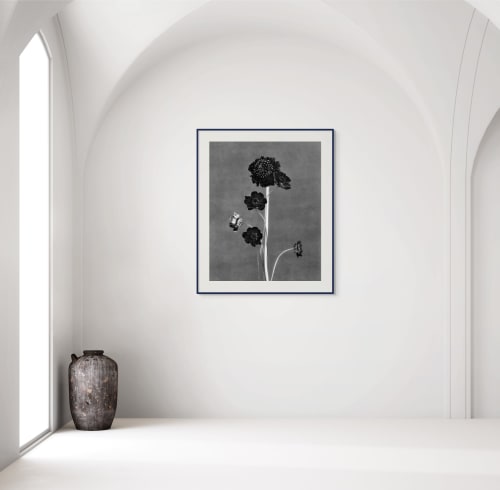 Black Blooms - floral photography, Ed. 10 | Photography by Ugne Pouwell