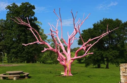Tree, Broken Tree | Public Sculptures by Dylan Mortimer | Swope Park in Kansas City