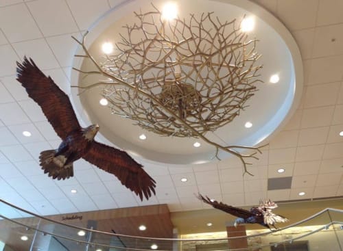 Eagle | Sculptures by Beechwood Metalworks Inc | Cone Health Cancer Center at Alamance Regional in Burlington