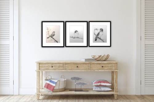 Purple Finch | Drawings by Maurice Dionne FINEART