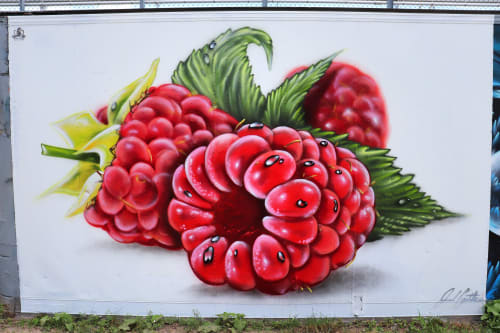 Raspberries still life mural