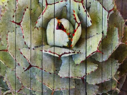 Agave | Oil And Acrylic Painting in Paintings by Irena Orlov