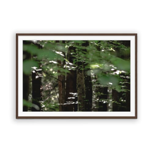 TIMBERLAND | Fine Art Print - Photography | Photography by Jess Ansik