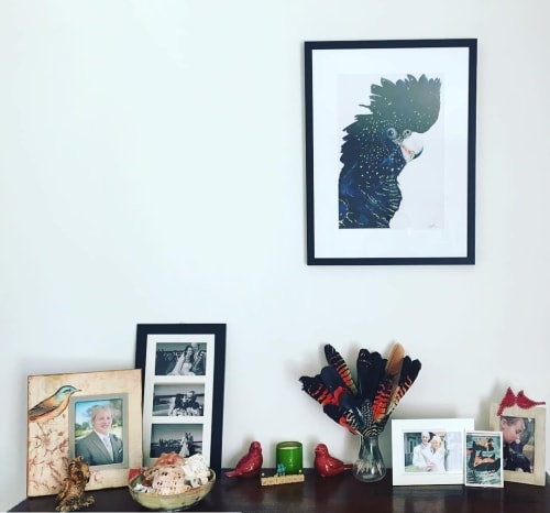 Black Cockatoo | Paintings by HEYLIE MORRIS