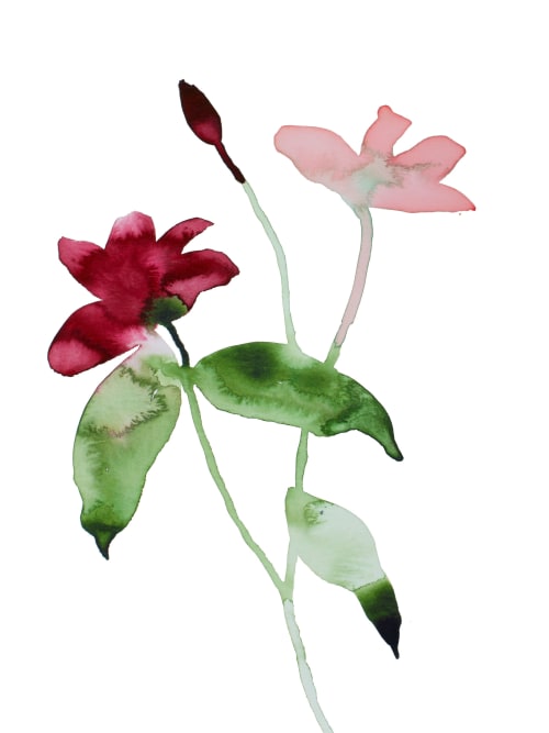 Floral No. 24 : Original Watercolor Painting | Paintings by Elizabeth Becker