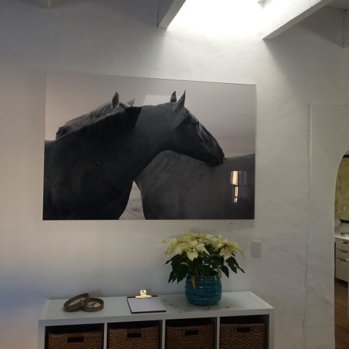 Wild Horses | Photography by Andrea Bonfils