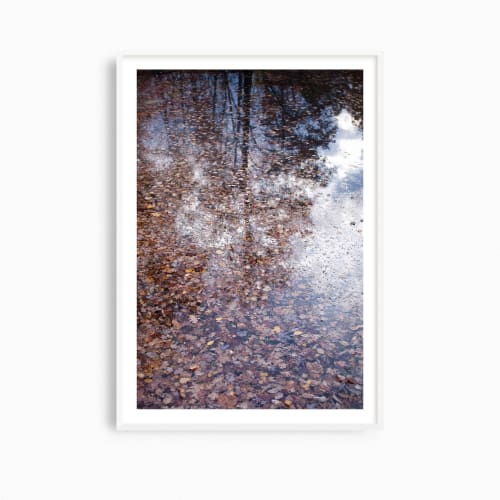 Contemporary natural decor, 'Autumn Detritus' photograph | Photography by PappasBland