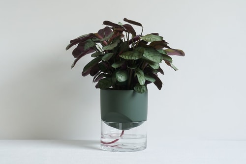 Kapi big green | Planter in Vases & Vessels by Krafla