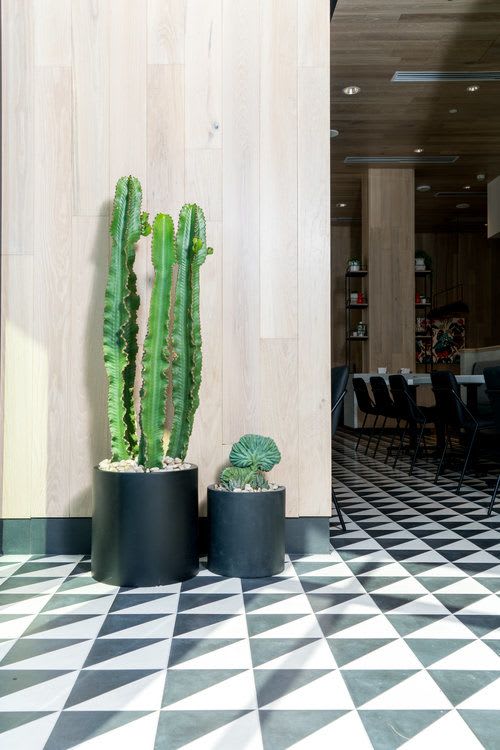 Tender Greens, Restaurants, Interior Design