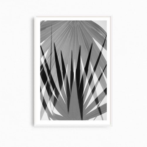 Tropical palm leaf art print, 'Palmetto Shapes I' photo | Photography by PappasBland