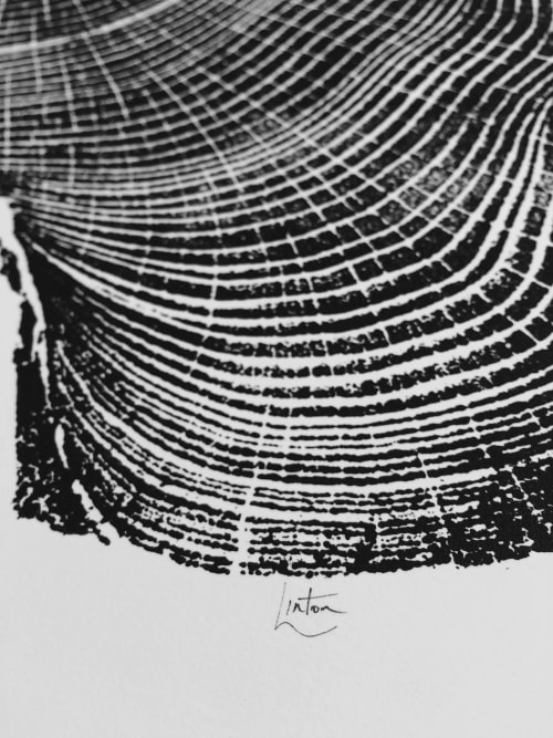 Locust Tree Ring Print | Paintings by Erik Linton