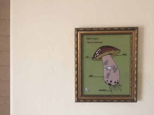Boletus edulis | Drawings by Sonoran Witch Boy