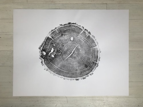 Ozark Mountains Oak | Prints by Erik Linton