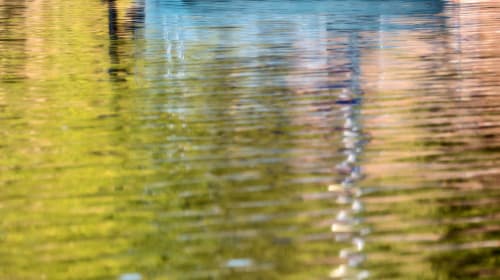 Lake Reflection | Photography by Judy Reinford
