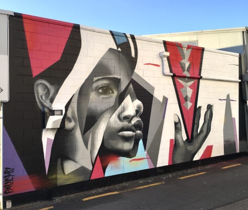 Fracture | Street Murals by Pauly B