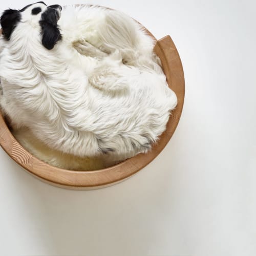 Circular Wooden Dog Bed | Beds & Accessories by Wake the Tree Furniture Co