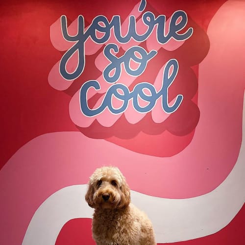 You’re so cool mural | Murals by 2 Sisters