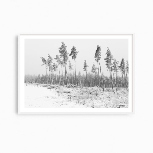 England winter landscape photography print, "Fresh Snowfall" | Photography by PappasBland