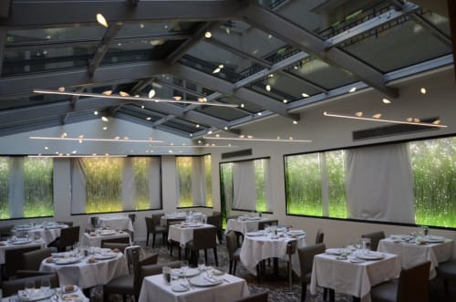 Smoon Birdie Light & Smoon Birds | Chandeliers by Beau&Bien | Restaurant Vatel Paris in Paris