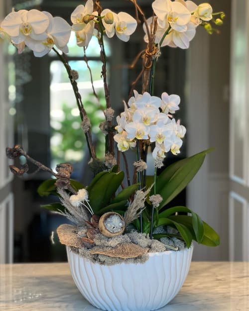Orchid Arrangement | Floral Arrangements by Fleurina Designs