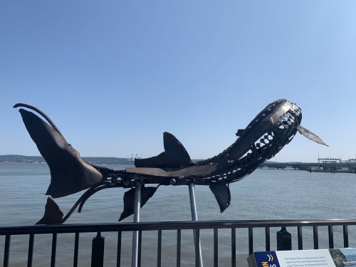 Leaping Sturgeon Commissioned for approach to Cuomo Bridge | Public Sculptures by Wendy Klemperer Art Inc