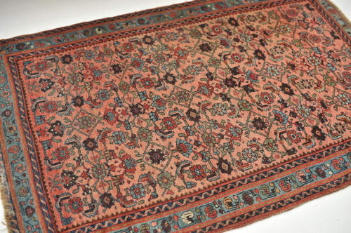 Cora | Area Rug in Rugs by The Loom House